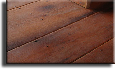 Antique oak flooring nails