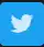 Twitter Icon
