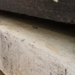 Reclaimed Softwood Beams