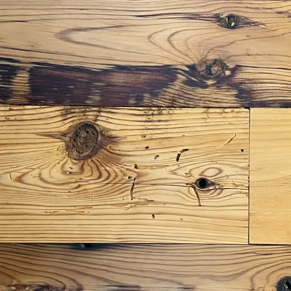 reclaimed barnwood insects