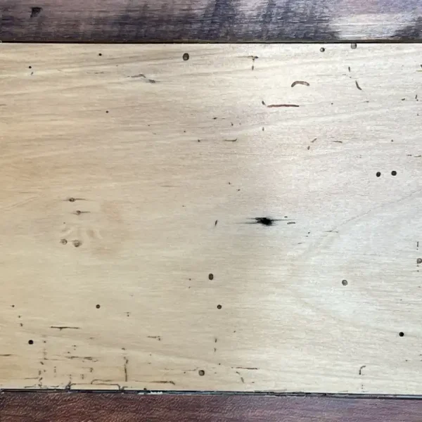 A closeup details shot showing reclaimed mixed hardwood flooring with insect holes and scarring.