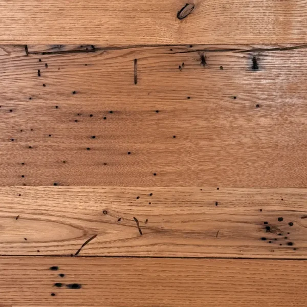 wormy chestnut flooring worm holes